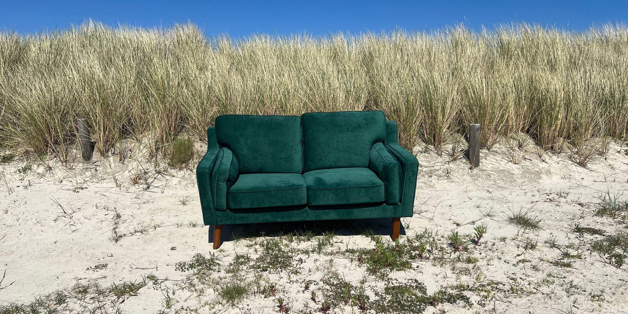 Grünes Samtsofa von Club of Comfort mit Eichenholzfüßen, Maße: 150x83x85 cm, Sitzhöhe 39 cm, Kissen 63x46 cm, max. Belastung 150 kg, 2-Sitzer, elegantes Design, geeignet für entspannte Momente.