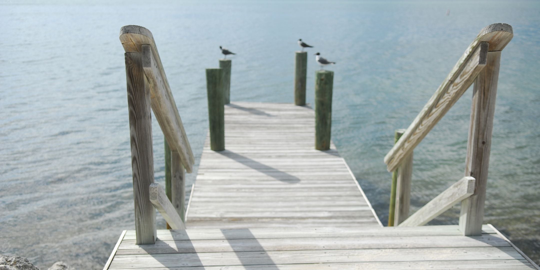 Ein kleiner Holzsteg mit Geländern, der ins Wasser führt, mit vier Holzpfählen im Wasser. Zwei Möwen stehen auf den Pfählen, und das Wasser ist ruhig und leicht transparent.